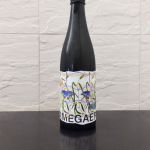 AMEGAERI