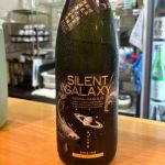 SILENT GALAXY