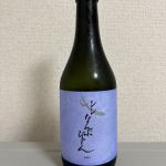 シン なんぶびじん