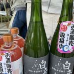 白音 (しろね) 日本酒 新潟 たからやま醸造