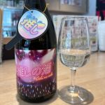 #推しの酒 (おしのさけ) 日本酒 岐阜 渡辺酒造店