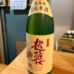 越路桜