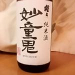 妙童鬼