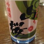 山桜 (やまざくら) 日本酒 福島 笹の川酒造