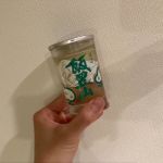 飯豊山 (いいでさん) 日本酒 山形 若乃井酒造