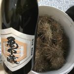 亀甲蔵 (きっこうぐら) 日本酒 北海道 田中酒造