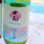 春の海  (はるのうみ) 日本酒 佐賀 大和酒造