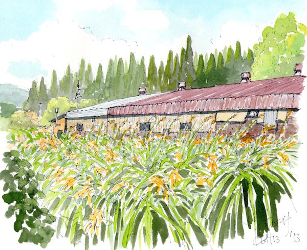 住乃井の酒蔵である住乃井酒造(新潟)