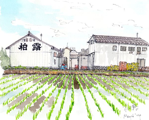 さんずいの酒蔵である柏露酒造(新潟)