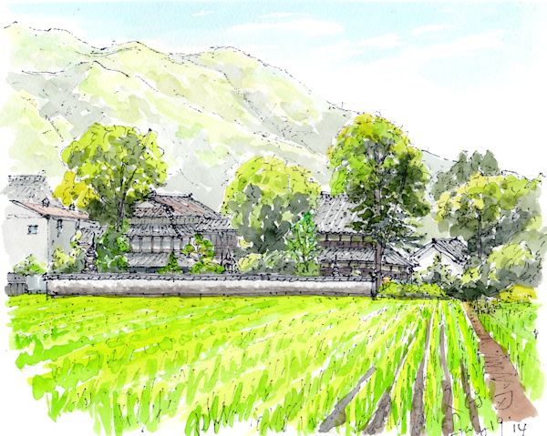 鬼作左の酒蔵である久保田酒造(福井)