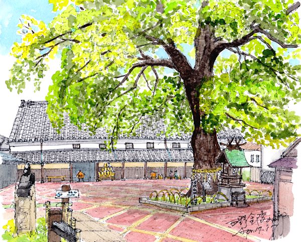 金戎の酒蔵である西野金陵(香川)
