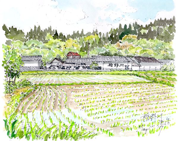 楯野川の酒蔵である楯の川酒造(山形)