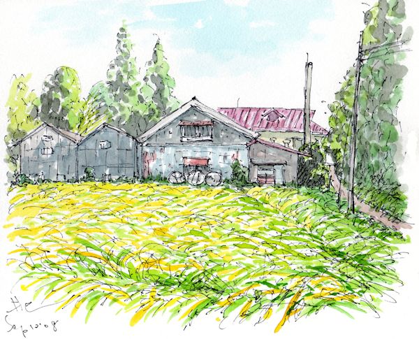 澤姫の酒蔵である井上清吉商店(栃木)