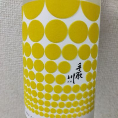 手取川のレビュー by_コリンキー