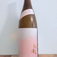亀の海