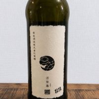 涅槃龜