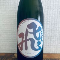 マル飛