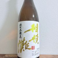 相模灘