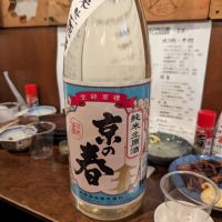 京の春