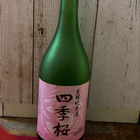 四季桜