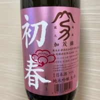 新潟県の酒