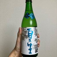 人気一