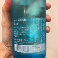甲子のレビュー by_HAMT
