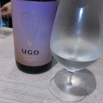 UGOのレビュー by_みっく