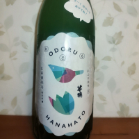 華鳩