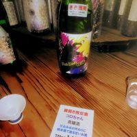 
            華鳩_
            みっくさん