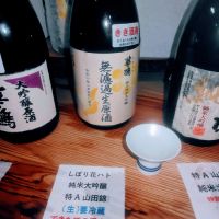 
            華鳩_
            みっくさん
