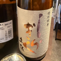 土佐しらぎく