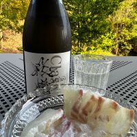 飛鸞のレビュー by_Ahmed Al Khohor