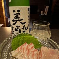 龍力のレビュー by_Ahmed Al Khohor