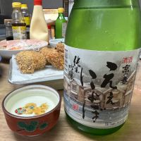 
            京の春_
            Ahmed Al Khohorさん