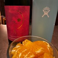 冬の月のレビュー by_Ahmed Al Khohor