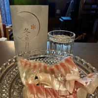 冬の月のレビュー by_Ahmed Al Khohor