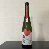 磊眞 -RAIZIN-