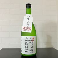 亀泉
