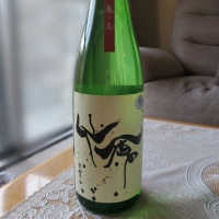 仙禽