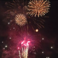 燗ガエルのレビュー by_やまだ