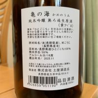 亀の海のレビュー by_八千代が大好き