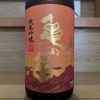 亀の海