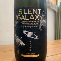 SILENT GALAXY