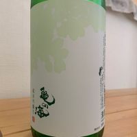 亀の海