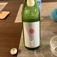 山の井