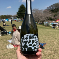 
            山に雲が_
            ブヒさん