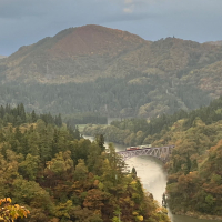 泉川のレビュー by_ブヒ