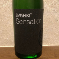 SENSATIONのレビュー by_lochness