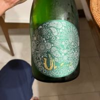 熊本県の酒